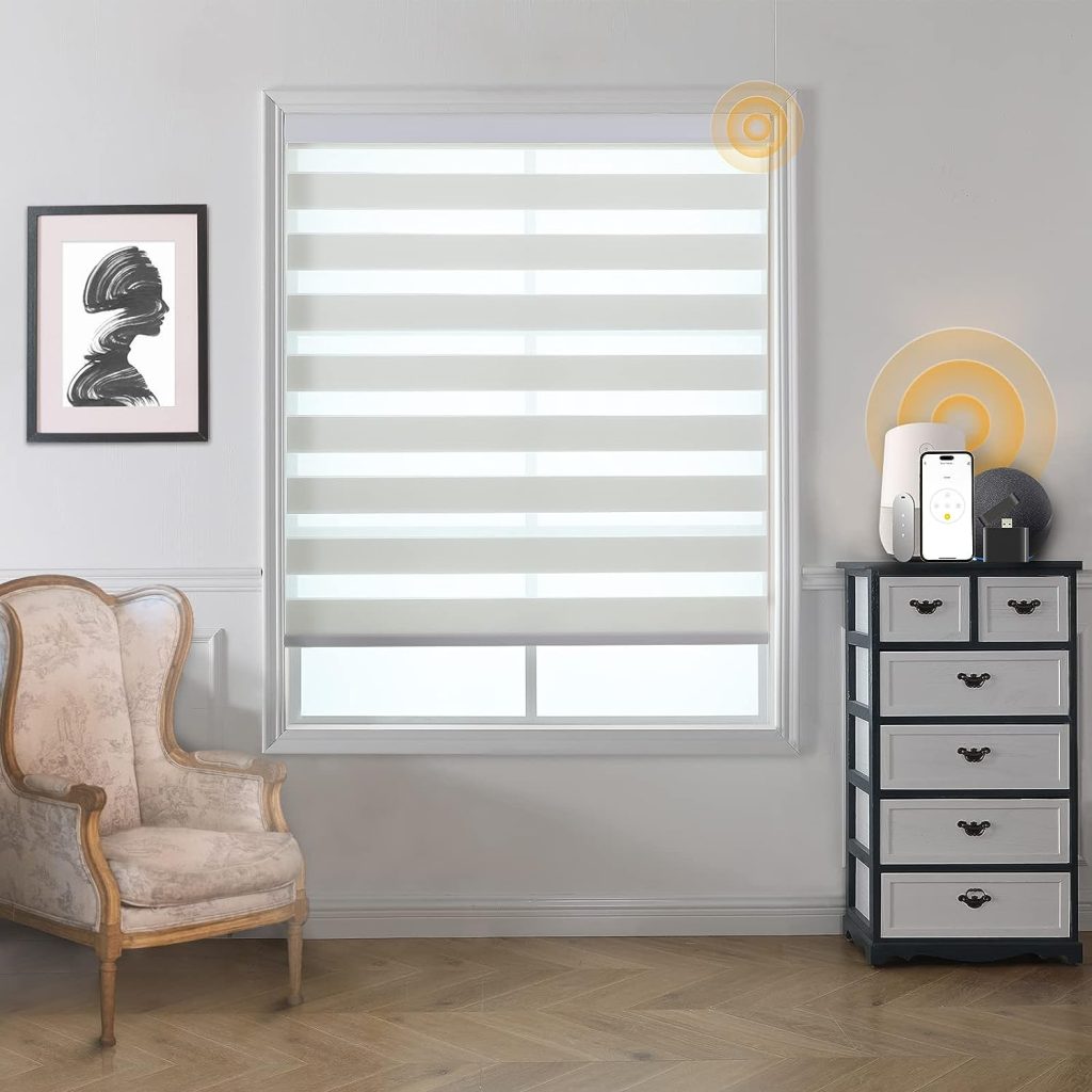 Smart Zebra Blinds Motorized Shades