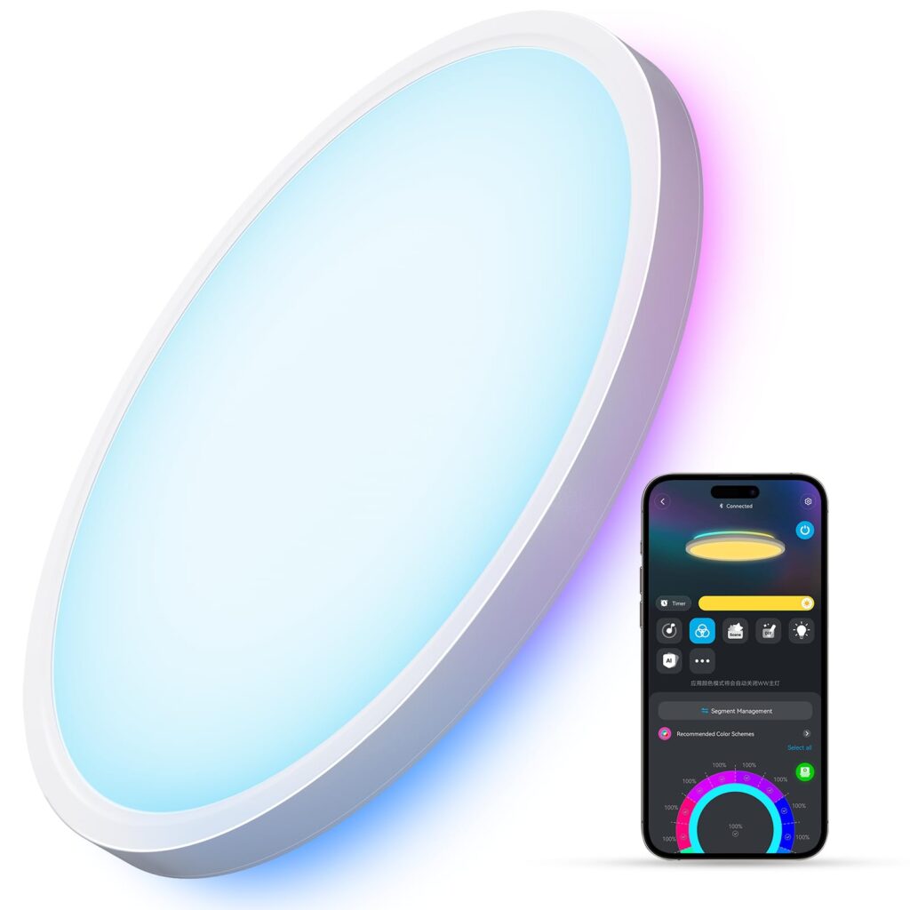 Govee Smart Ceiling Light