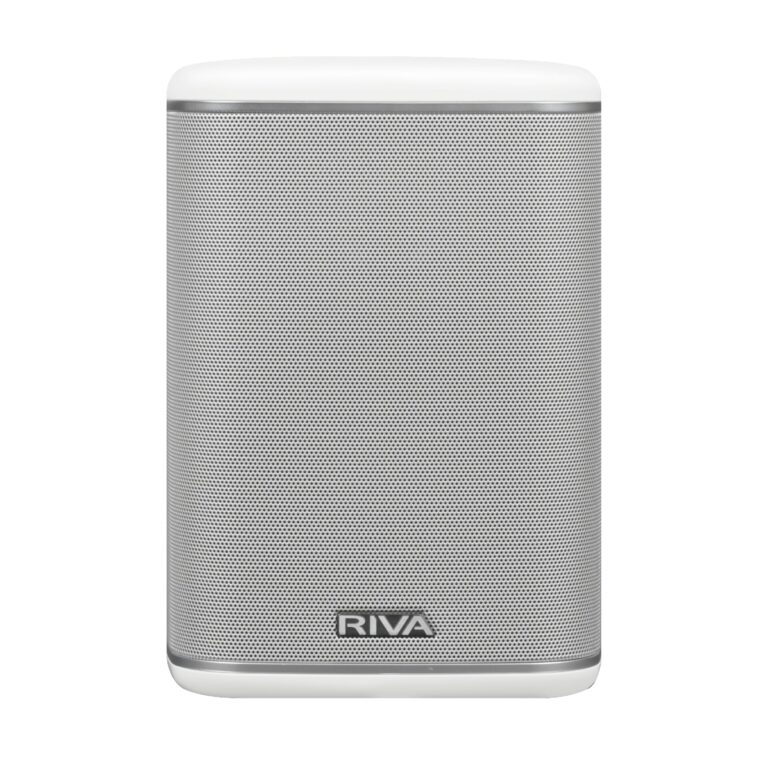 RIVA Upgraded Arena Wi-Fi Bluetooth Hi-Fi Speaker