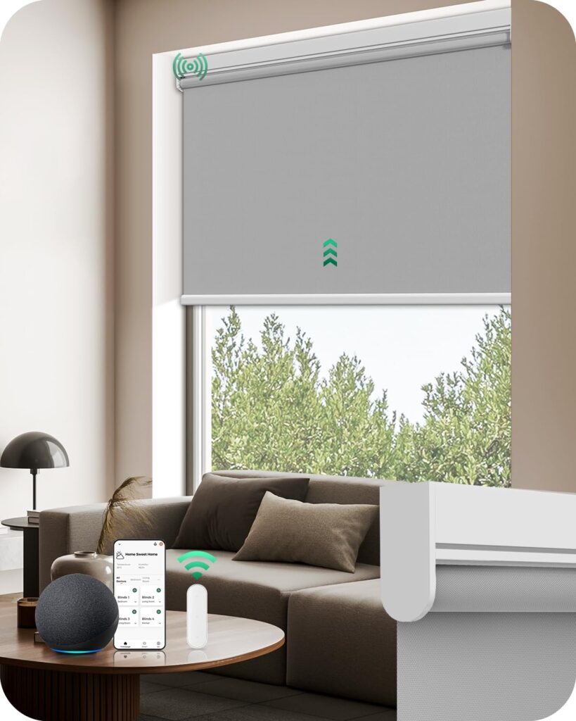 Allesin Motorized Roller Blinds with Remote Control for Windows