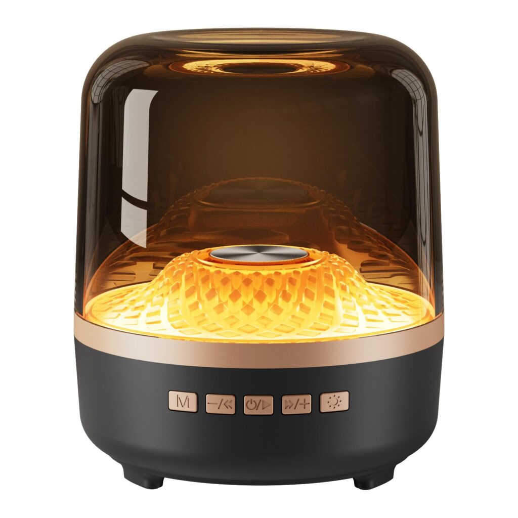 Bluetooth Speaker