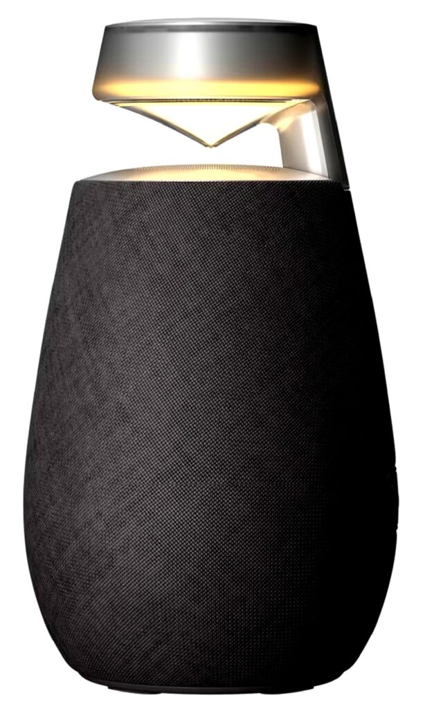 LG XO2TBK XBOOM 360 Wireless Speaker