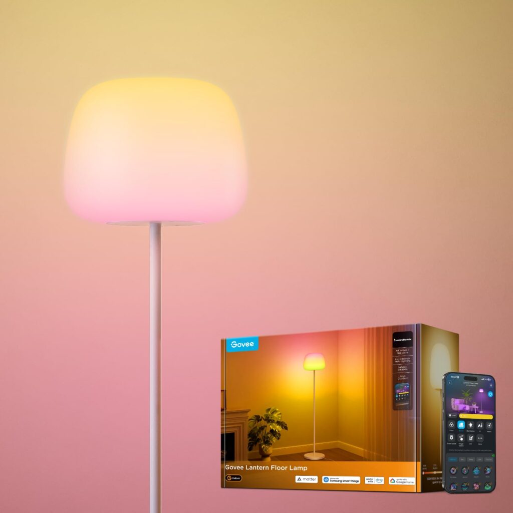 Govee Lantern Floor Lamp