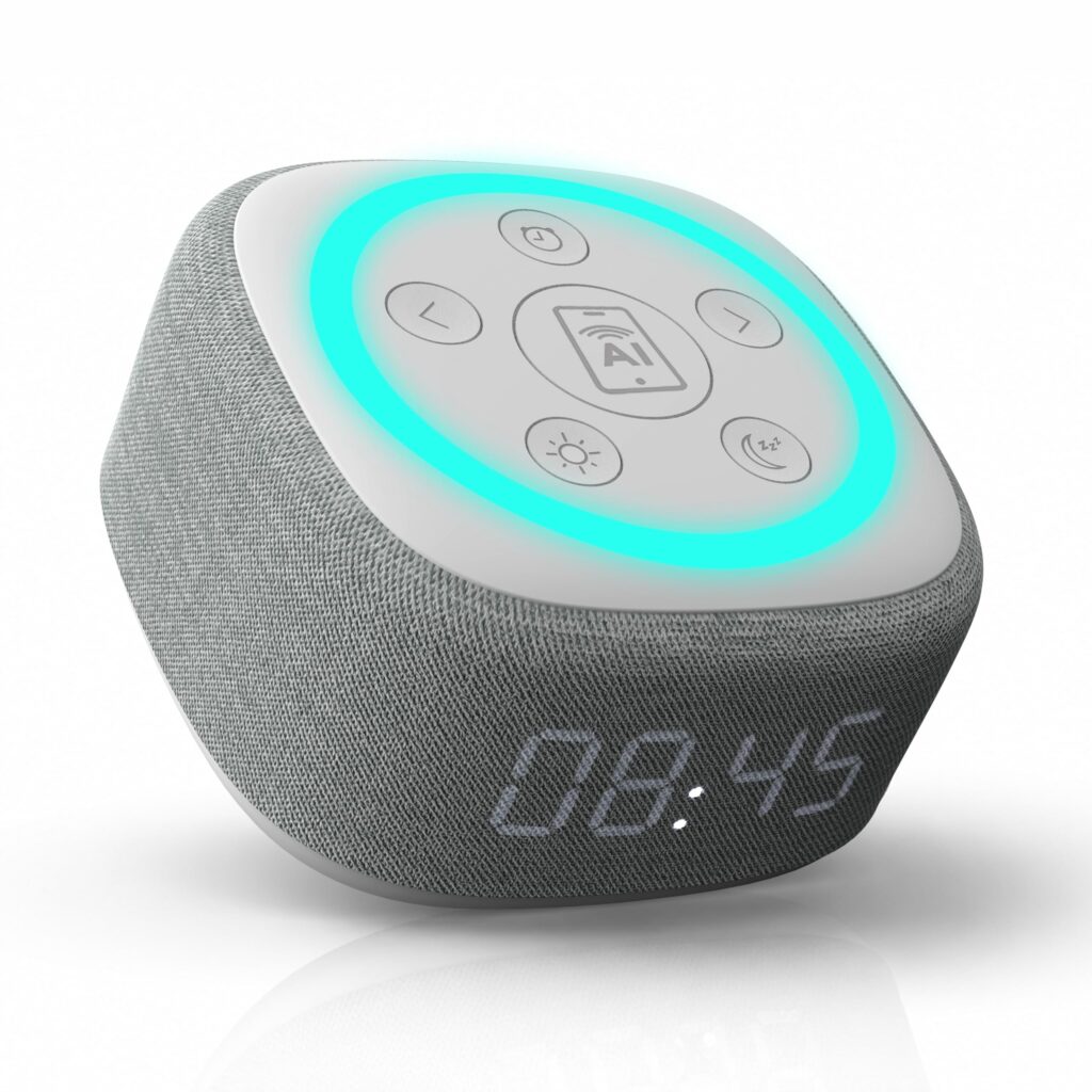 Gemini Home Speaker with AI Voice Assistant Access