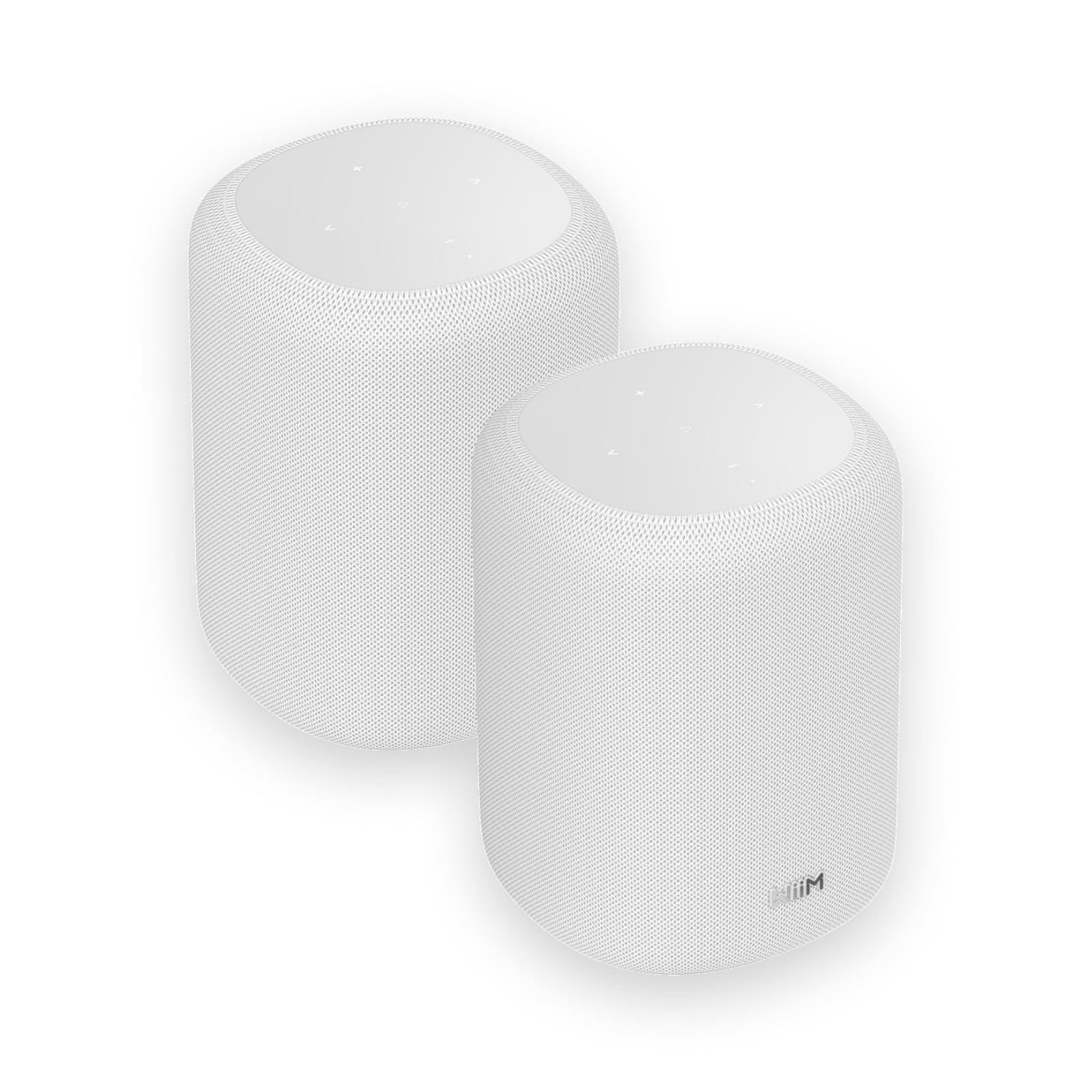 WiiM Sound Lite Smart Speaker